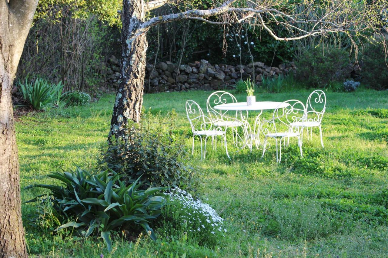 Mas Les Romarins, 10 Min D'Uzes, Piscine Et Grand Jardin Clos, Jeux, Nid De Repos Et Base Pour Activites Dans Le Gard (Adults Only) Экстерьер фото